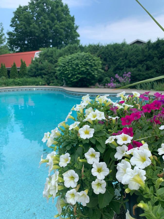 Manoir Alegria Bed & Breakfast Cowansville Eksteriør bilde